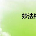 妙法村正刀数据（妙法村正）