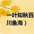 一叶知秋百川鱼海小说好看吗（一叶知秋 百川鱼海）