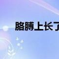 胳膊上长了很多红色的小点点不疼不痒