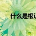 什么是根证书安装（安装工行根证书）