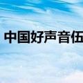 中国好声音伍佳丽盲选（中国好声音伍佳丽）