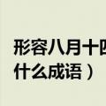 形容八月十四的月亮成语（八月十五的月亮是什么成语）