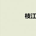 枝江二中老师（枝江二中）
