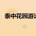 泰中花园游泳馆怎么样（泰中花园游泳馆）