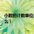 小数的计数单位是什么分别写作什么（小数的计数单位是什么）