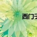 西门子kk22f57ti使用说明书