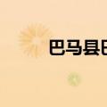 巴马县巴马镇地图（巴马县地图）
