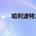 哈利波特之蛇帝h（哈利波特之蛇帝）