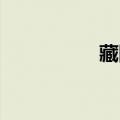 藏陈翔歌词（藏 陈翔）