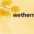 wetherm是什么牌子（wetherm）