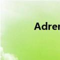 Adreno 205（adreno 220）