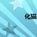 化猫之宿 英文（化猫之宿）