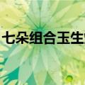 七朵组合玉生烟无损下载（七朵组合 玉生烟）