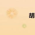 胡夏 改变（勉强胡夏）