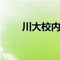 川大校内租房价格（川大校内租房）