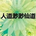 人道渺渺仙道茫茫视频（人道渺渺 仙道茫茫）