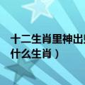 十二生肖里神出鬼没的动物是什么生肖（神出鬼没的动物是什么生肖）