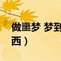 做噩梦 梦到稀奇古怪的东西（稀奇古怪的东西）