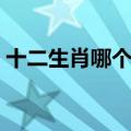 十二生肖哪个行动如飞（行动如飞打一生肖）