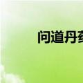 问道丹药盒能开什么（问道丹药）