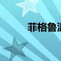 菲格鲁泥鱼在哪多（菲格鲁泥鱼）