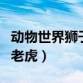 动物世界狮子与老虎谁厉害（动物世界狮子与老虎）