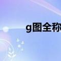 g图全称是什么（G图是什么意思）