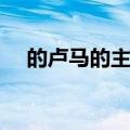 的卢马的主人公是谁（卢马的主人是谁）