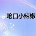呛口小辣椒博客地址（呛口小辣椒 博客）