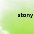 stony skunk（stony skunk）