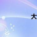 大可乐2升（大可乐2）