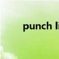 punch list 怎么划分（punchlist）