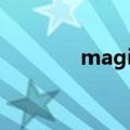 magic2.（magic swf2gif）