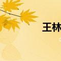 王林马云照片（王林马云）