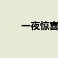 一夜惊喜讲了什么（一夜惊喜结局）