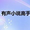 有声小说高手过招试听（有声小说高手过招）