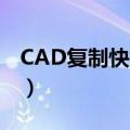 CAD复制快捷键ctrl加什么（cad复制快捷键）