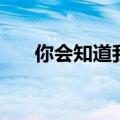 你会知道我爱你吗（你会知道我爱你）