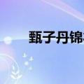甄子丹锦衣卫电影（甄子丹 锦衣卫）