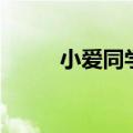  小爱同学无使用wifi如何进行设置