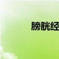膀胱经的准确位置图（膀胱经）
