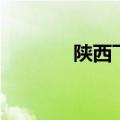 陕西飞远离合器（陕西飞远）