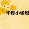 华理小偷塔防手机版（华理小偷单机版）