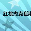 红桃杰克崔斯特怎么样（红桃杰克 崔斯特）
