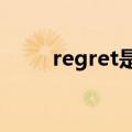 regret是名词还是动词（regrets）