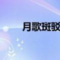 月歌斑驳全文免费阅读（月歌斑驳）