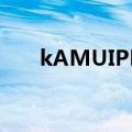 kAMUIPRO高尔夫一号木（kamui）