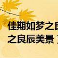 佳期如梦之良辰美景小说匪我思存（佳期如梦之良辰美景）