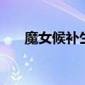 魔女候补生是什么意思（魔女候补生）