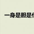 一身是胆是什么人物（浑身是胆讲的是谁）